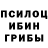 Псилоцибиновые грибы Cubensis Keem Sama