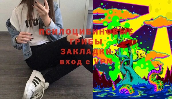 скорость Белокуриха